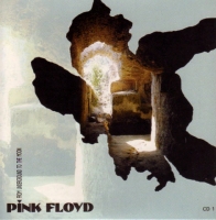 Pink Floyd: From Underground To The Moon (Digital Phono Records)
