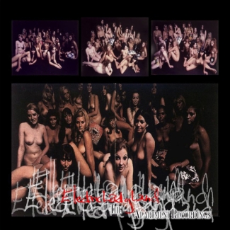 Jimi Hendrix: Electric Ladyland - The Apartment Recordings (Archived Traders Material)