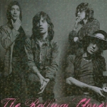 The Rolling Stones: Bunnies, Bombs, Busts & A Princess (Halcyon)
