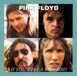 Pink Floyd: If You Were A Blue Bird (Oil Well)