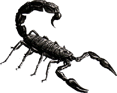 Scorpio (UK)