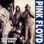 Pink Floyd: Northern Old Sun (Shout To The Top)