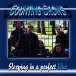 Counting Crows: Sleeping In A Perfect Blue (Teddy Bear)