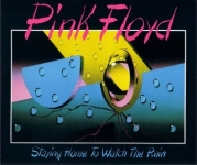 Pink Floyd: Staying Home To Watch The Rain (Great Dane Records)