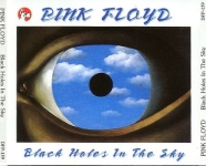 Pink Floyd: Black Holes In The Sky (Great Dane Records)