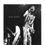 The Rolling Stones: Long Bitch (Risk Disk)