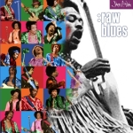 Jimi Hendrix: Raw Blues (For Trade Only)
