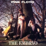 Pink Floyd: The Embryo (The Swingin' Pig)