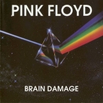 Pink Floyd: Brain Damage (The Swingin' Pig)
