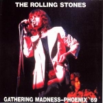 The Rolling Stones: Gathering Madness (Vinyl Gang Productions)