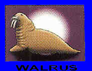 Walrus Records